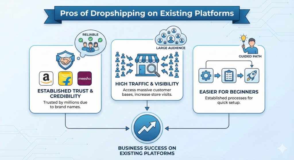 Pros of dropshipping on existing platforms